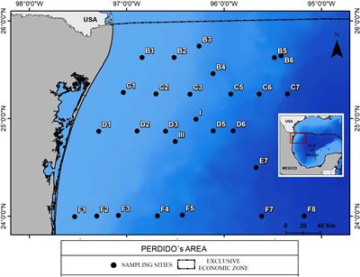 Dissolved/dispersed polycyclic aromatic hydrocarbon spatial and temporal changes in the Western Gulf of Mexico